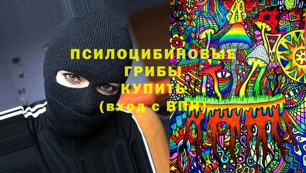 ALPHA-PVP Алексин