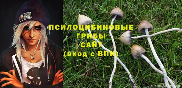 кокс Алзамай