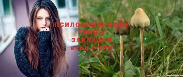 кокс Алзамай
